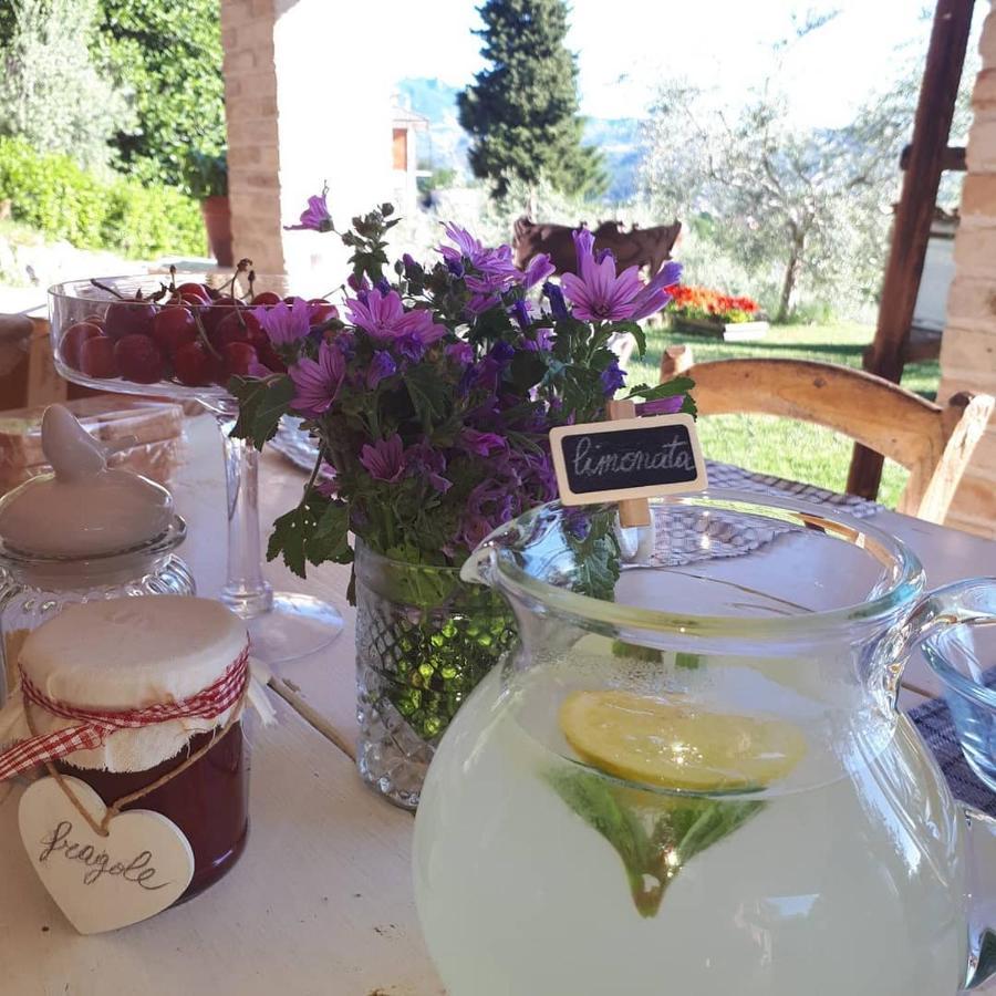 B&B L'Usignolo Ascoli Piceno megye Kültér fotó