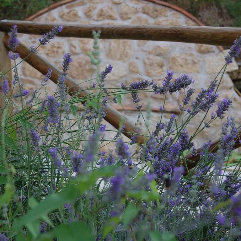 B&B L'Usignolo Ascoli Piceno megye Kültér fotó