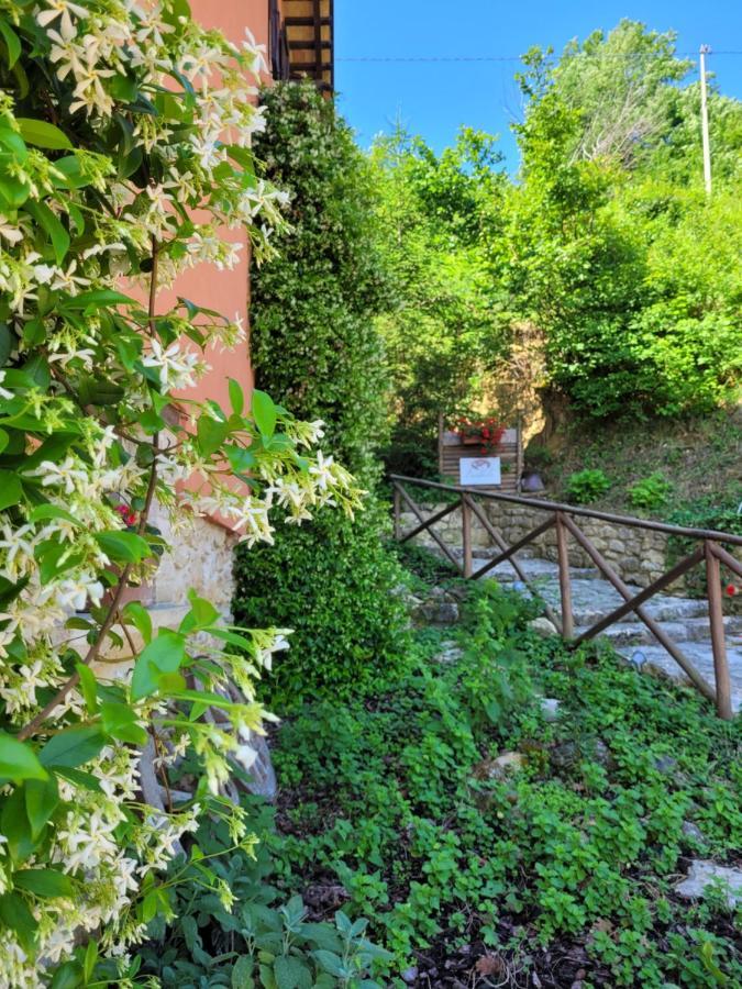 B&B L'Usignolo Ascoli Piceno megye Kültér fotó