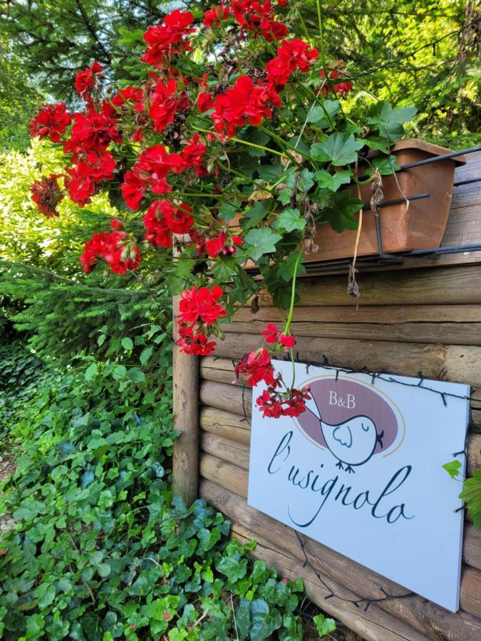 B&B L'Usignolo Ascoli Piceno megye Kültér fotó